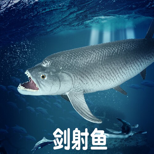 林畅模玩剑射鱼模型仿真海洋动物