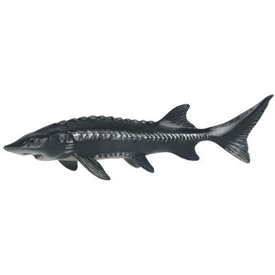 林畅模玩中华鲟模型仿真海洋动物