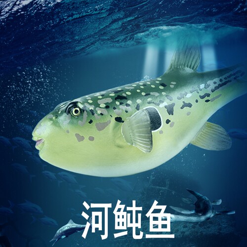 林畅模玩河鲀鱼模型仿真海洋动物