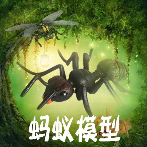 林畅模玩蚂蚁模型仿真昆虫玩具