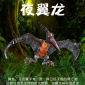 林畅模玩儿童恐龙玩具夜翼龙模型风帆翼龙无齿古神翼手龙仿真动物