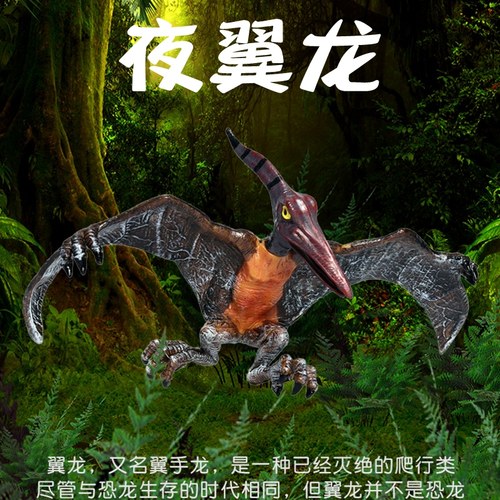 林畅模玩儿童恐龙玩具翼龙仿真