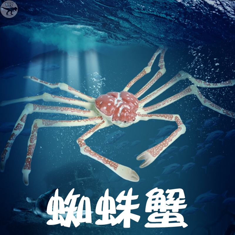 林畅模玩蜘蛛蟹模型仿真海洋动物