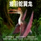 林畅模玩侏罗纪儿童恐龙玩具影版 披羽蛇翼龙模型风神翼龙仿真动物