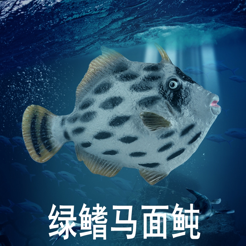 林畅模玩马面鲀模型仿真海洋动物