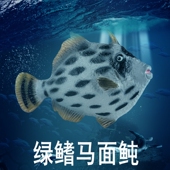 林畅模玩儿童海洋动物玩具绿鳍马面鲀模型剥皮鱼沙猛仿真摆件认知
