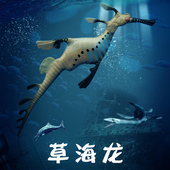 林畅模玩草海龙马儿童玩具深海仿真动物模型史前海洋生物远古巨兽