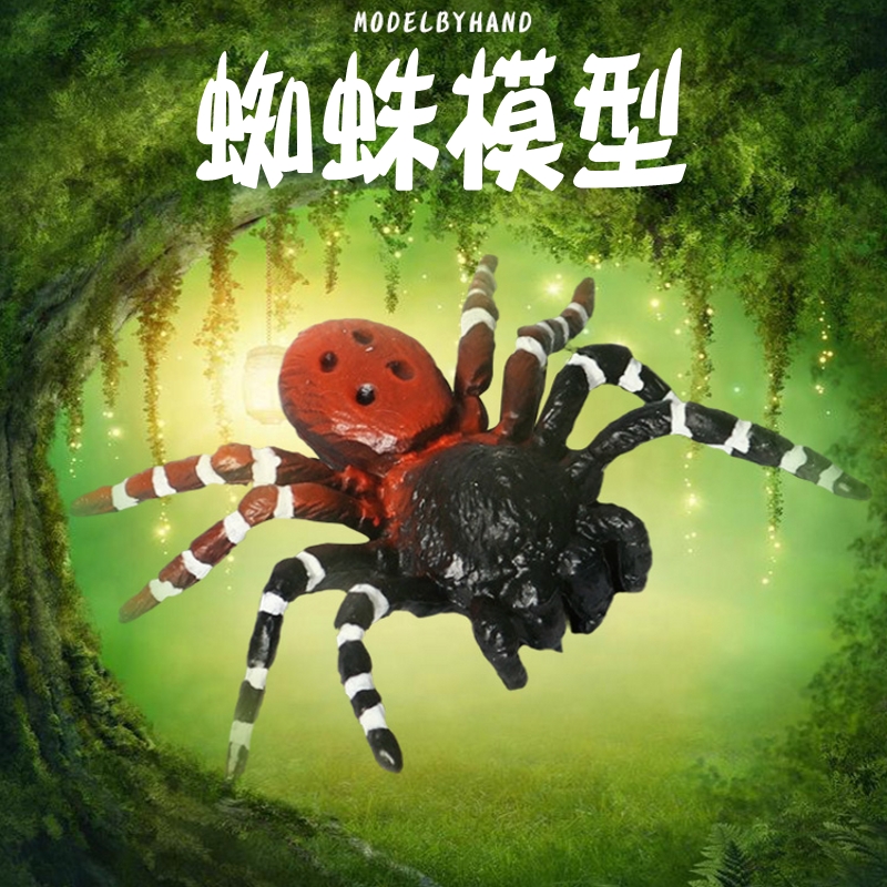 林畅模玩儿童昆虫玩具白间红尾蜘蛛模型食鸟蛛大黑红蜘蛛仿真动物