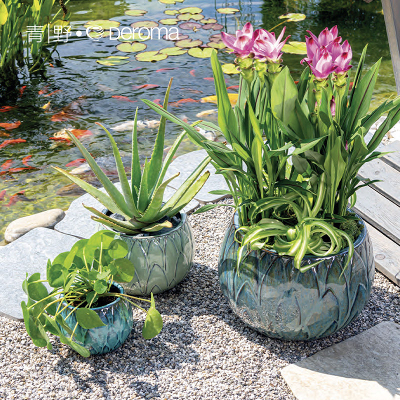 青野帝罗马荷花纹彩釉陶瓷盆室内水仙盆栽欧式大号蝴蝶兰组盆花盆