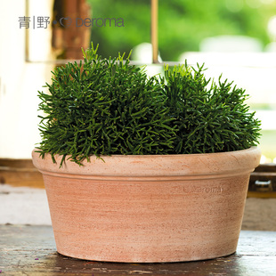 伊特鲁里亚手工花盆天然陶土盆阳台客厅绿植栽种白陶碗形花盆