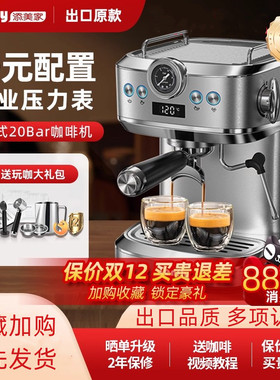 Tenfly添美家意式咖啡机家用小型20Ba浓缩2025半自动蒸汽奶泡一体