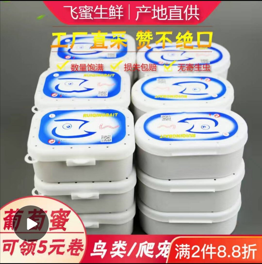 葡萄蜜虫玉米虫活虫大蜡螟幼虫鸟虫子软饵钓鱼仓鼠蜜袋鼯食物包邮