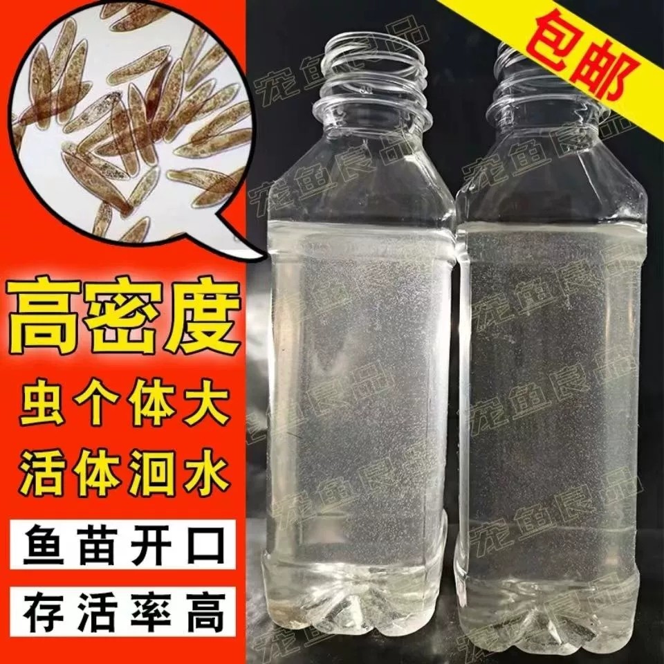 洄水鱼苗开口饲料活体大草履虫实观赏鱼饲料