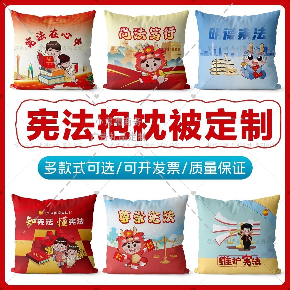 法院检察院12.4国家宪法日普法宣传周文创礼品赠品抱枕被靠枕定制