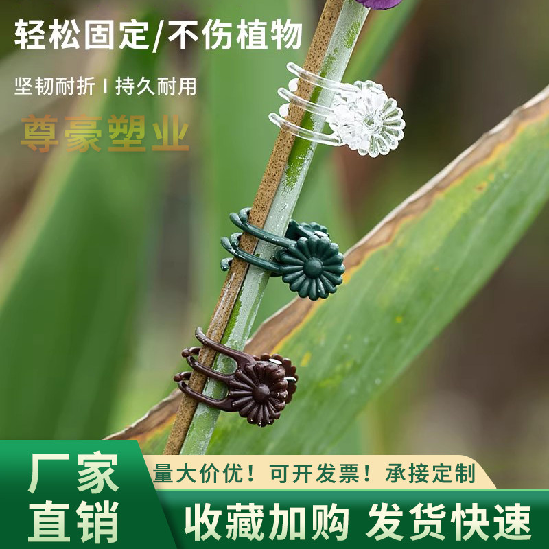 蝴蝶兰夹子兰花支架植物支撑杆爬藤类花卉防倒伏固定专用铁丝园艺