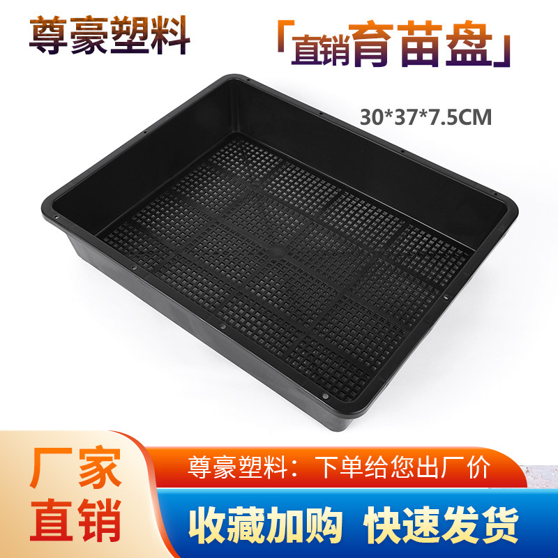 塑料多肉育苗盘小号加厚叶插盆播种器育苗托盘闷养盆黑方托架花盆