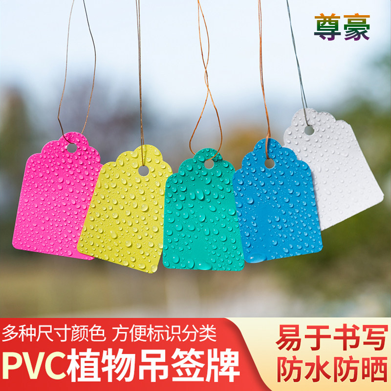 肉友塑料植物园艺标签吊牌图片
