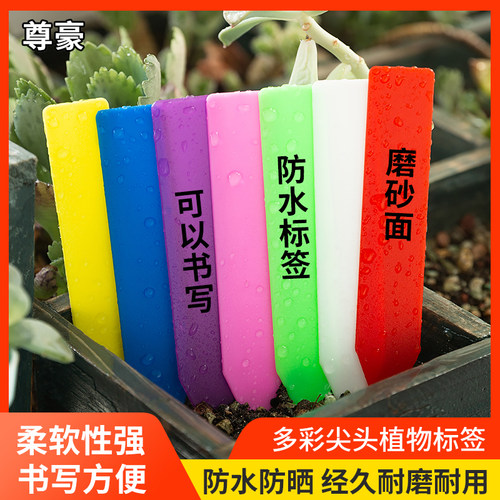 肉友植物标签插地牌可书写