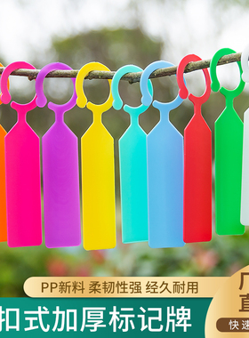 加厚葡萄西瓜授粉记号卡大树植物环扣标签塑料吊牌花卉标记牌挂签