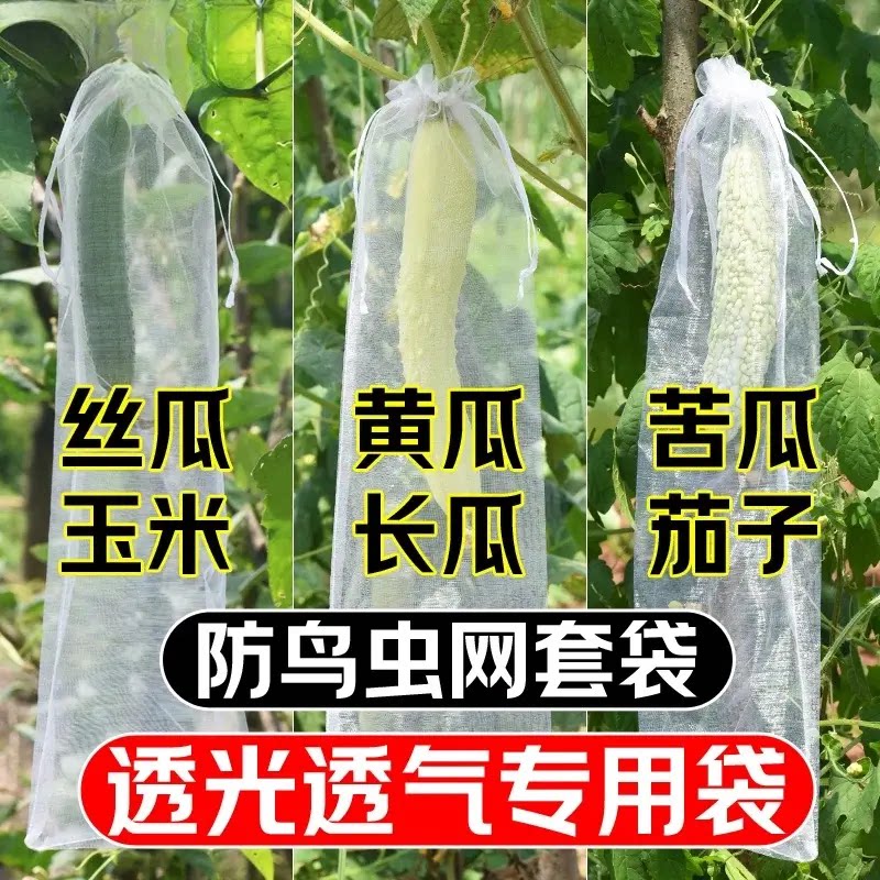 丝瓜黄瓜苦瓜套袋纱袋防虫专用网袋水果葡萄番茄枇杷瓜果保护袋子