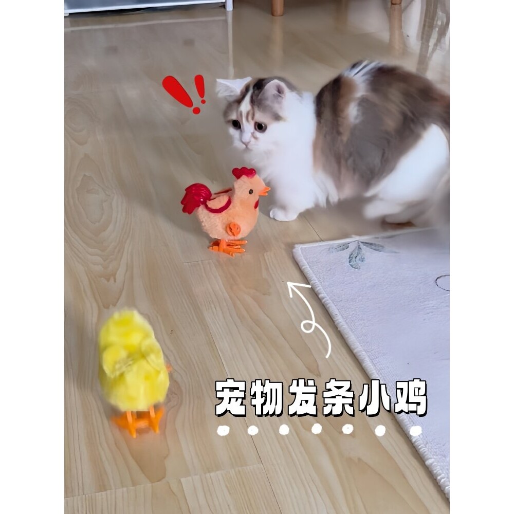 发条小鸡猫咪玩具仿真鸟自动逗猫神器自嗨解闷猫狗狗宠物消耗体力