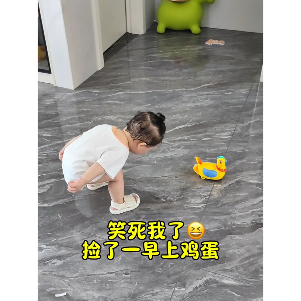 小月龄宝宝玩具会下蛋母鸡唱歌电动万向儿童益智早教玩具男孩女孩