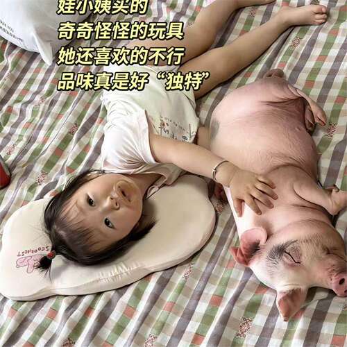超彷真小猪玩偶3D立体逼真迷你小香猪毛绒公仔搞怪整人睡觉抱枕