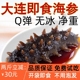 Q弹无冰无添加大连即食海参500克独立装 开袋速食底播野生辽刺参
