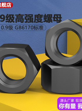 10.9级高强度GB6170六角螺帽合金钢30CrMo螺母M8M10M12M16M20-M42
