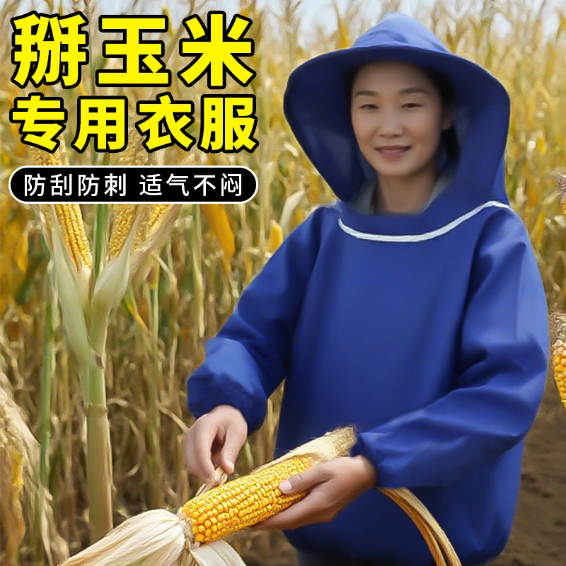 掰玉米防护服防蚊虫防眯眼防毛刺图片