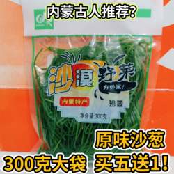 内蒙古清水沙葱300g袋装原味新鲜腌制可凉拌下饭菜野葱饭店专用