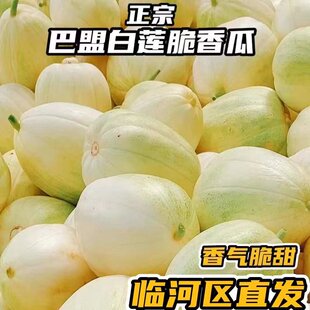 五原香瓜巴盟香瓜大果净重5斤装4-6颗脆甜香应季水果磴口特产香瓜