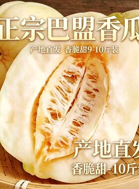 内蒙古巴盟香瓜白莲脆甜瓜9-10斤