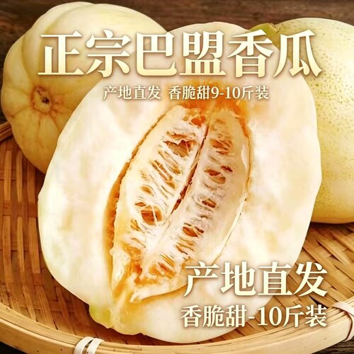 内蒙古巴盟香瓜白莲脆甜瓜9-10斤