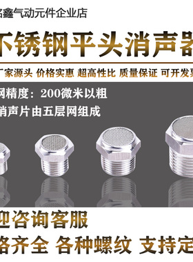 316L不锈钢气动消声器PT/R螺纹宝塔BSL-02平头网状消音器BSLM-02