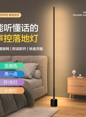 人工智能语音控制小夜灯卧室睡眠柔光声控落地床头灯家用氛围台灯