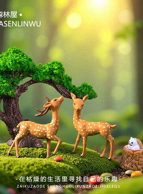苔藓微景观DIY造景装饰品