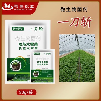 厂家肥公肥婆一刀斩哈茨木霉菌淡紫紫孢菌以菌克菌抗重茬活化土壤