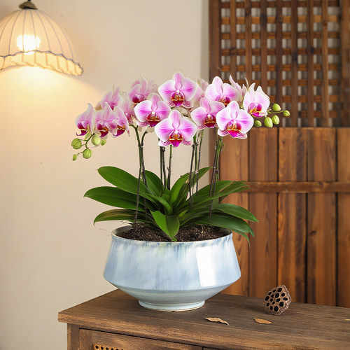 陶瓷花盆北欧风渐变轻奢高级大号