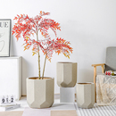 落地家用欧式 客厅陶瓷花盆室内发财树专用龟背竹茶花长寿竹种树