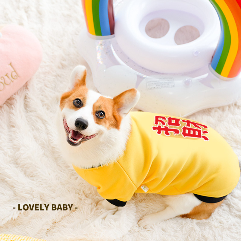 柯基专用狗狗衣服春秋冬装春季防掉毛柯基大码中型犬腊肠犬宠物