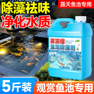 鱼池除藻剂室外鱼缸鱼池去苔剂净青苔水藻褐藻清除剂绿水绿藻专用