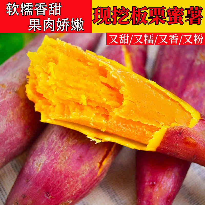农家自种小蜜薯糖心地瓜板栗薯