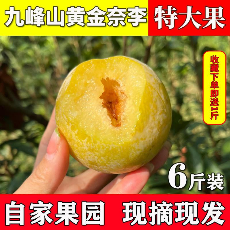 正宗乐昌九峰山黄金奈李子新鲜水果冰糖蜂蜜李脆甜大果6斤装整箱