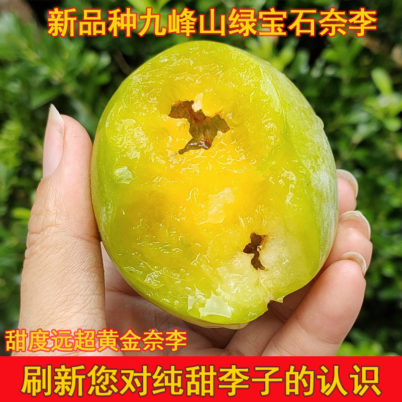 顺丰包邮纯甜九峰绿宝石奈李新鲜水果现摘冰糖蜂蜜李甜过黄金奈李