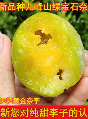 顺丰包邮纯甜九峰绿宝石奈李新鲜水果现摘冰糖蜂蜜李甜过黄金奈李