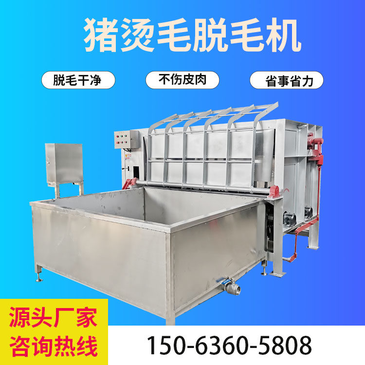 大型猪脱毛机整猪打毛机生猪肥猪烫毛刨毛机器屠宰场杀猪褪毛拔毛