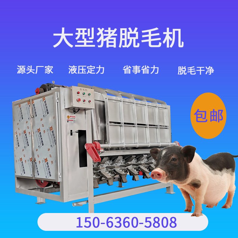 杀猪场褪毛打毛机器屠宰场连续去猪毛机商用生猪母猪整猪烫毛设备