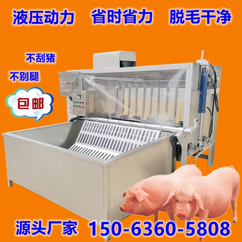 马来西亚专用猪脱毛机大型猪脱毛机生猪母猪刨毛机器屠宰场猪刮毛