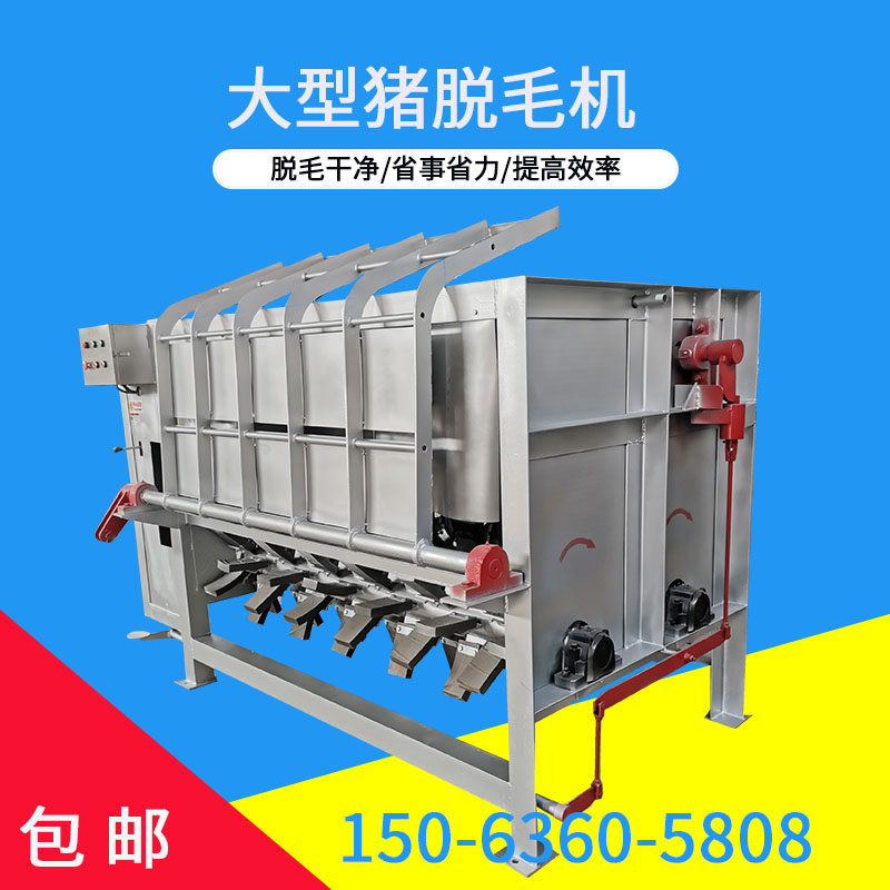 大型整猪脱毛机猪打毛机生猪肥猪母猪刨毛褪毛设备屠宰场烫毛拔毛